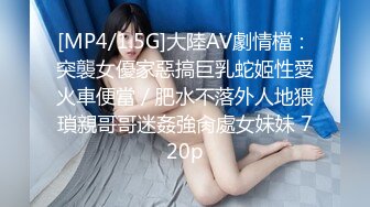 [MP4/1.5G]大陸AV劇情檔：突襲女優家惡搞巨乳蛇姬性愛火車便當／肥水不落外人地猥瑣親哥哥迷姦強肏處女妹妹 720p