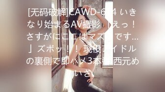 GS自购-售价14【精品CD】抄底身穿薄丝半蕾丝内内美女+有点混血美女内内 (1)