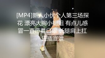 [MP4]新人小伙个人第三场探花 漂亮大胸小姐姐 有点儿感冒一直带着口罩 长腿肩上扛狂插宣泄