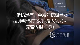 玩老婆的BB2