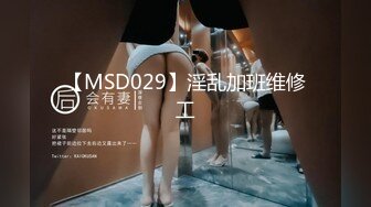 【MSD029】淫乱加班维修工