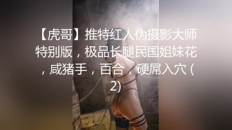 【虎哥】推特红人伪摄影大师特别版，极品长腿民国姐妹花，咸猪手，百合，硬屌入穴 (2)