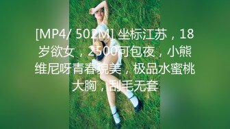 [MP4]STP29485 两个00后新人嫩妹！4P淫乱激情操逼！脱光光看骚穴，边吃屌边后入，一人一个正入爆操，用假屌抽插 VIP0600