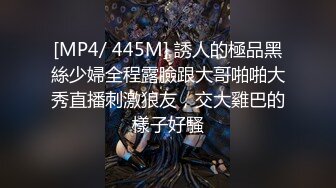 宁波35如狼