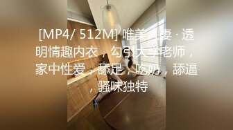 [MP4/ 512M] 唯美人妻 · 透明情趣内衣，勾引大学老师，家中性爱，舔足，吃奶，舔逼，骚味独特