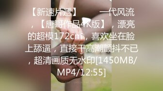 [MP4/3.1G]《台湾情侣泄密》超过30万人追踪的人气网美性爱调教纪录流出