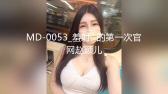 夫の借金の为に肉体返済を迫られた美人妻 有贺みなほ