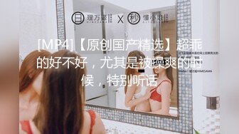 车震小妹