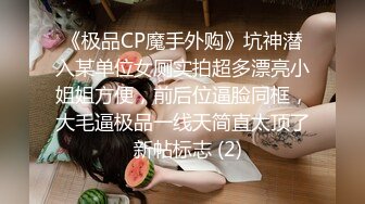 睡不着干骚逼