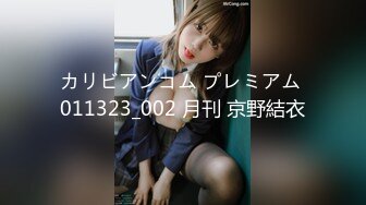 カリビアンコム プレミアム 011323_002 月刊 京野結衣