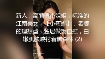 深夜后入公司新来小妹