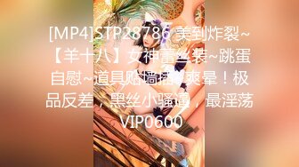 [MP4]STP28786 美到炸裂~【羊十八】女神蕾丝装~跳蛋自慰~道具贴墙插~爽晕！极品反差，黑丝小骚逼，最淫荡 VIP0600