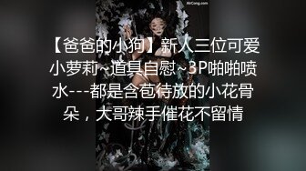 后入式爆操干的肥鲍淫水泛滥