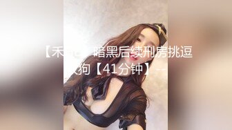 【禾HE】暗黑后续刑房挑逗双狗【41分钟】--