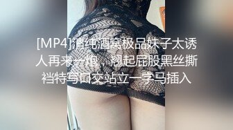 专业搞肥妹续集4