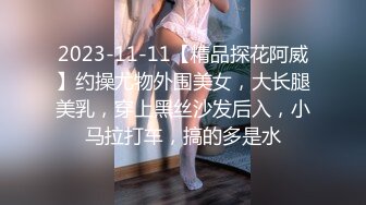 2023-11-11【精品探花阿威】约操尤物外围美女，大长腿美乳，穿上黑丝沙发后入，小马拉打车，搞的多是水