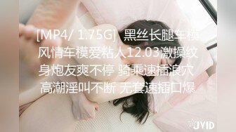 星空無限傳媒 XKG219 爆操女友的風騷二姐 念念