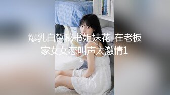 爆乳白皙秘书姐妹花-在老板家女女恋叫声太激情1