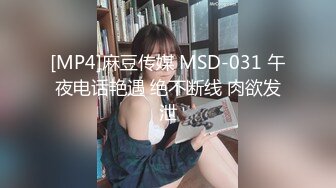 小奶狗镜头前飞机撸射