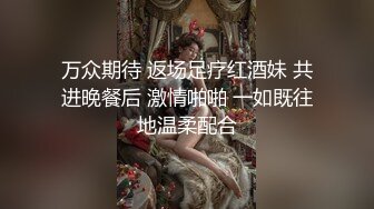 无水印[MP4/182M]11/11 伪娘小母狗最喜欢的当然就是被主人牵到外面跟人交配VIP1196