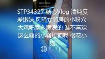 STP34327 糖心Vlog 清纯反差嫩妹 风骚女邻居的小粉穴 大鸡吧塞入满满的 谁不喜欢这么骚的小骚母狗呢 樱花小猫