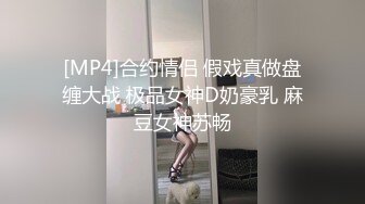 极品长腿模特内射，激情对白