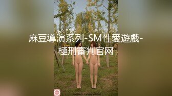 麻豆導演系列-SM性愛遊戲-極刑審判官网