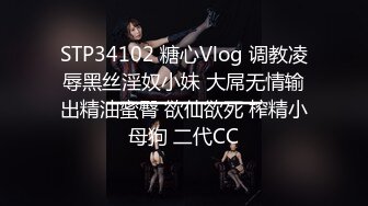 STP34102 糖心Vlog 调教凌辱黑丝淫奴小妹 大屌无情输出精油蜜臀 欲仙欲死 榨精小母狗 二代CC