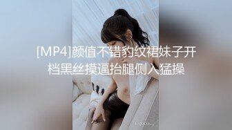 源码高清录制新人《小伟极品外围女探花》酒店约嫖网红脸旗袍装兼职妹