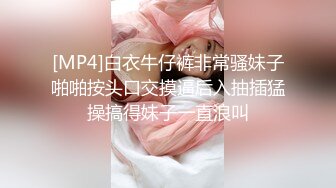 [MP4]衬衣包臀裙性感女神！黑丝高跟鞋极品腿模！翘起大白臀极度诱惑