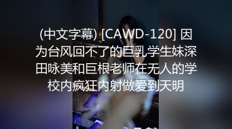 ID5287 婕珍 酷刑调教好色老公 爱豆传媒