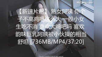 91精品无码人妻系列