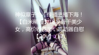 神似章子怡！绿播主播下海！【白米稀饭】18岁骨干美少女，高价收费房，震动器自慰【20v】 (17)